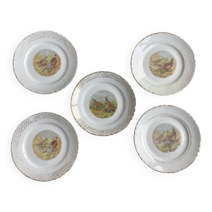 Lot de 5 assiettes plates