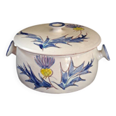 Chardon sweet box Vallauris
