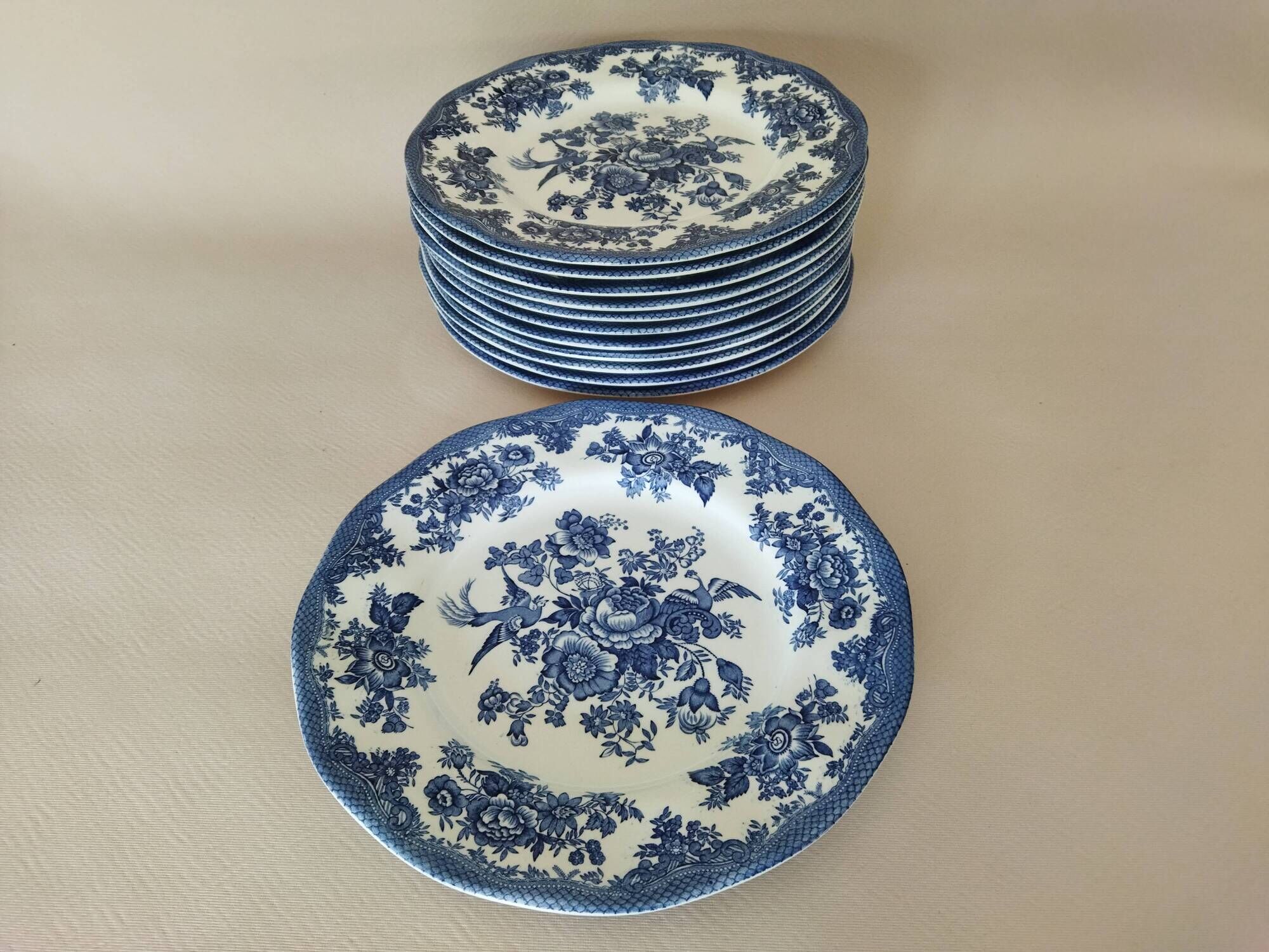 12 English dinner plates Enoch Wedgwood "Asiatic Pheasants"