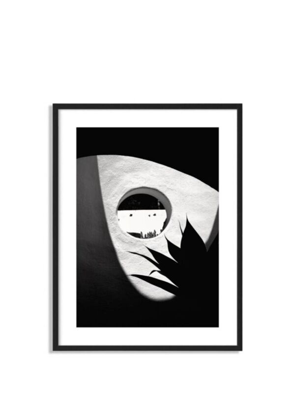Cactus par Alice Ducheix - Zones Galerie