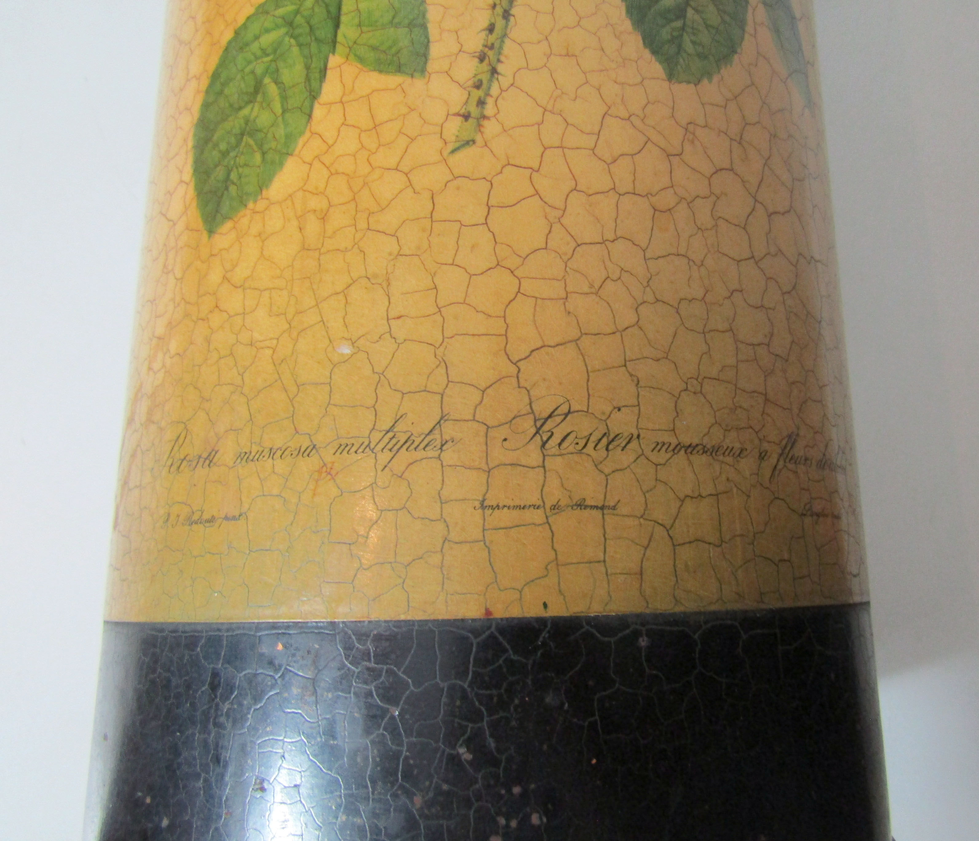 Former pink umbrella holder PJ Dreaded Vintage Botanical