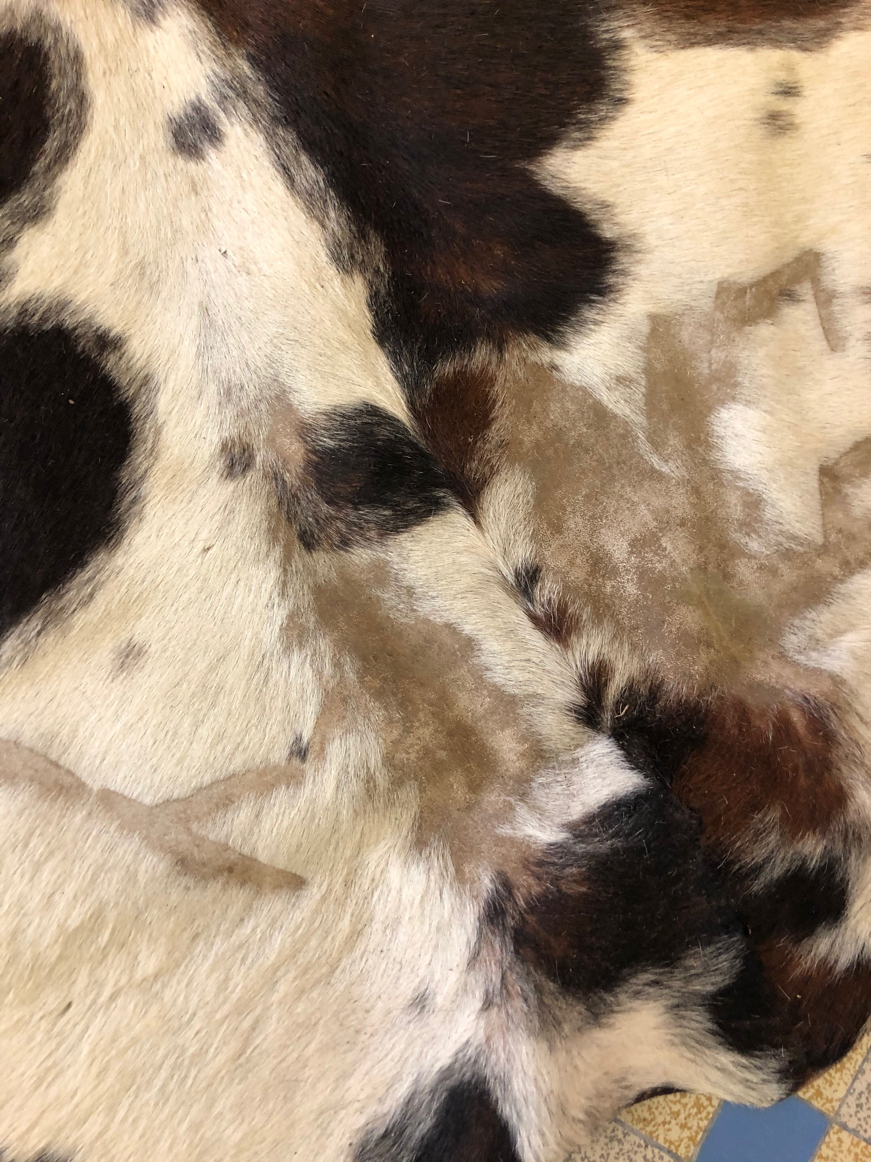 Cow skin carpet large format 200x225 cm