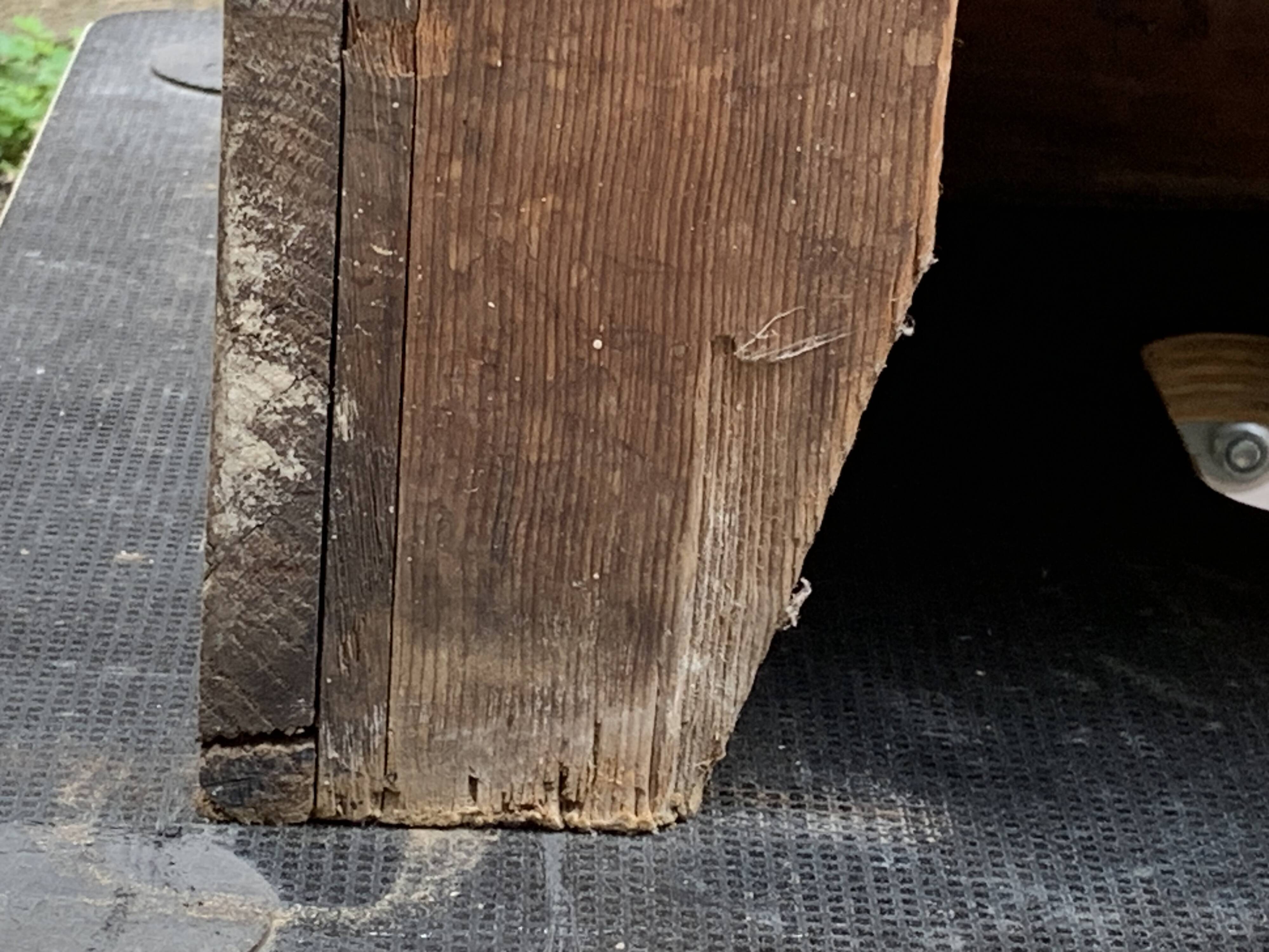 Solid raw oak notary cabinet, 1920
