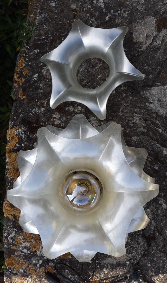 Maison Rougier vintage palm-shaped lamp from the 1970s to 1980s