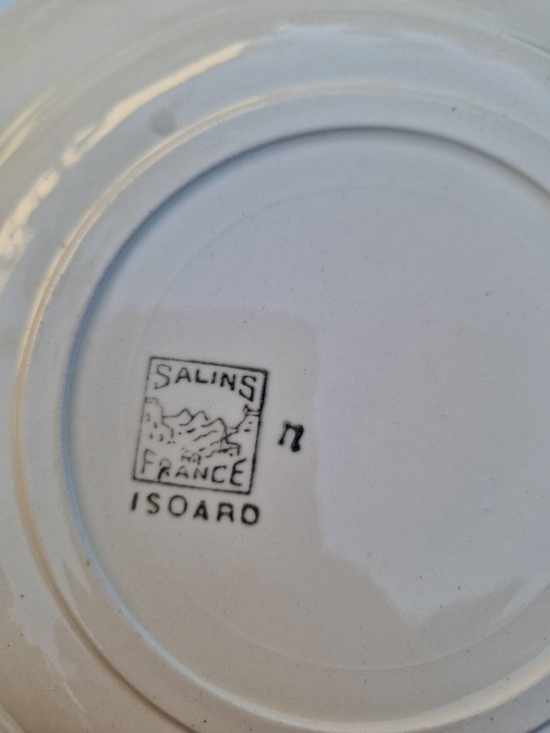 Set of 11 Isoard Pattern Soup Plates, Salins Manufacture