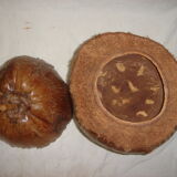 Ice bucket, naturalized coconut from 1970