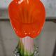 Murano blown glass soliflore vase in the shape of a green and red Calla flower