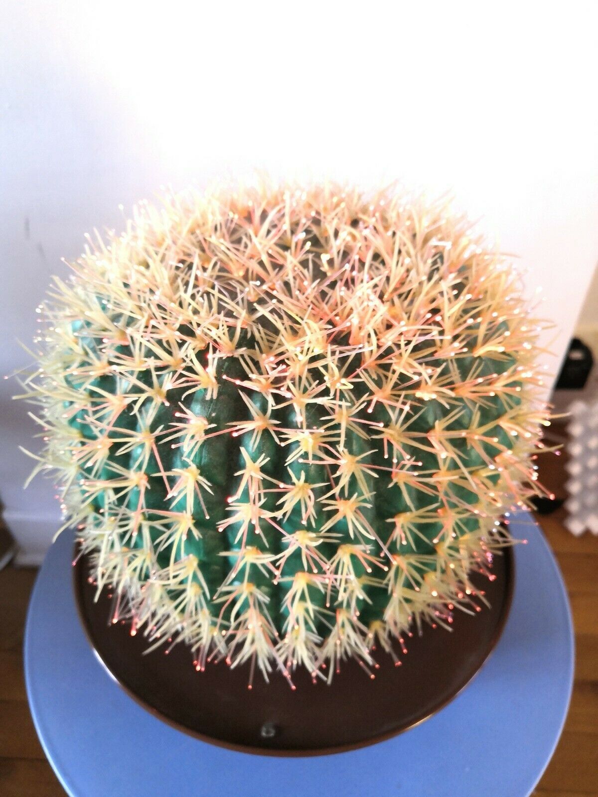 Cactus vintage fiber optic lamp 70s - 80s