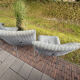 Set of 6 dining chairs Ligne Roset