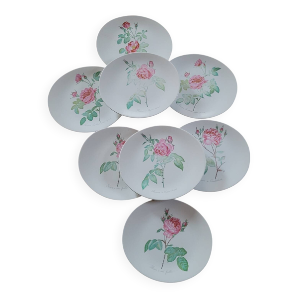 8 assiettes ovales Salins – années 1970 – Rosiers botaniques