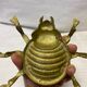 Empty pocket scarab