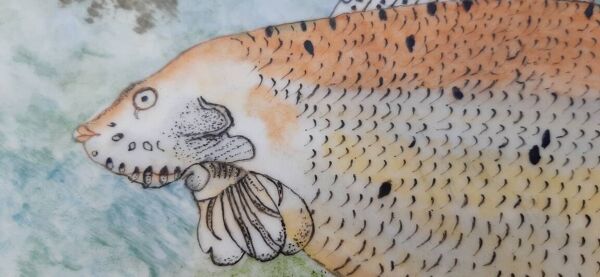 Plat à poisson Pillivuyt