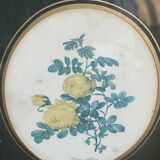 Duo of small Redouté engraved frames