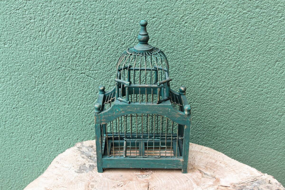 Old bird cage