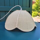 Suspension in canning