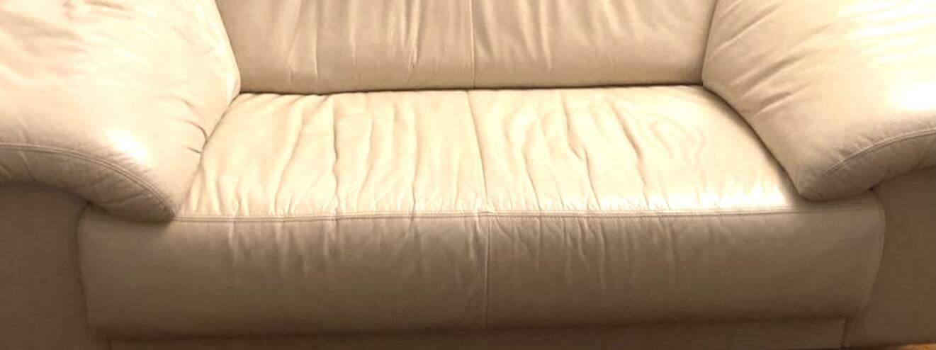 Canapé en cuir 2 places