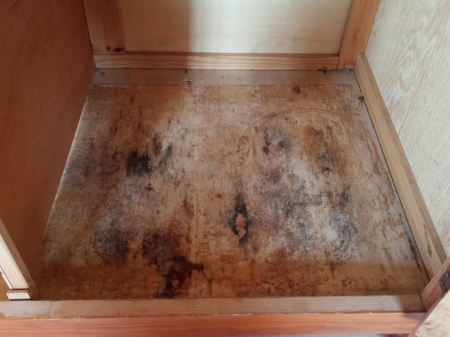 1950s Parisian wardrobe