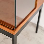 Vitrine B par Dieter Waeckerlin pour Behr, années 1950