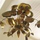 Chandelier, 10 light lights, water lily, brass