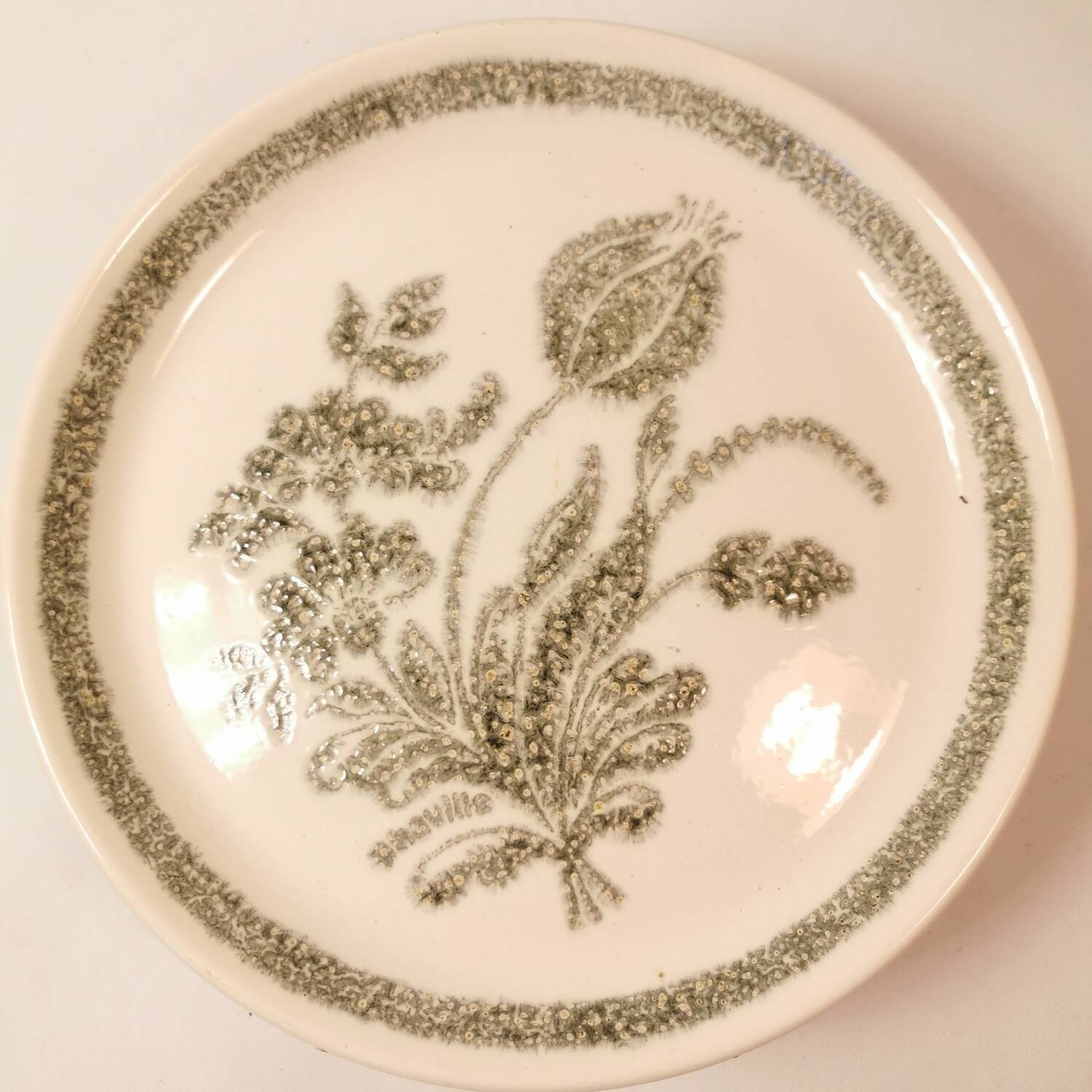 6 Ceramic Plates Vintage Botanical Floral Decor TBE