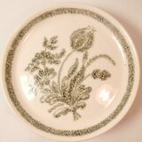 6 Ceramic Plates Vintage Botanical Floral Decor TBE