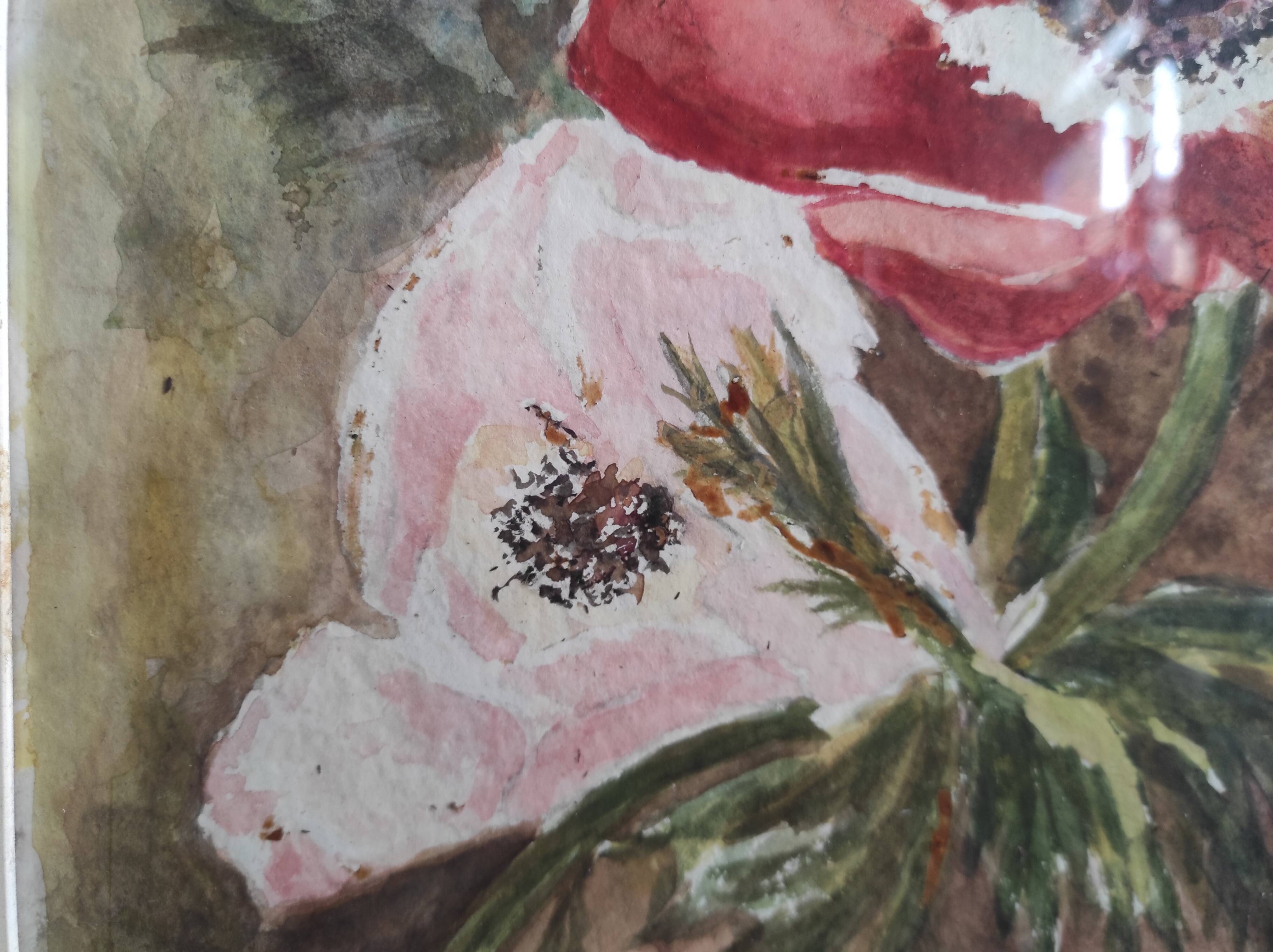 French watercolour of flowers, poppies, signed DR