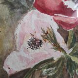 French watercolour of flowers, poppies, signed DR