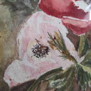 Aquarelle française de fleurs, coquelicots, signée DR