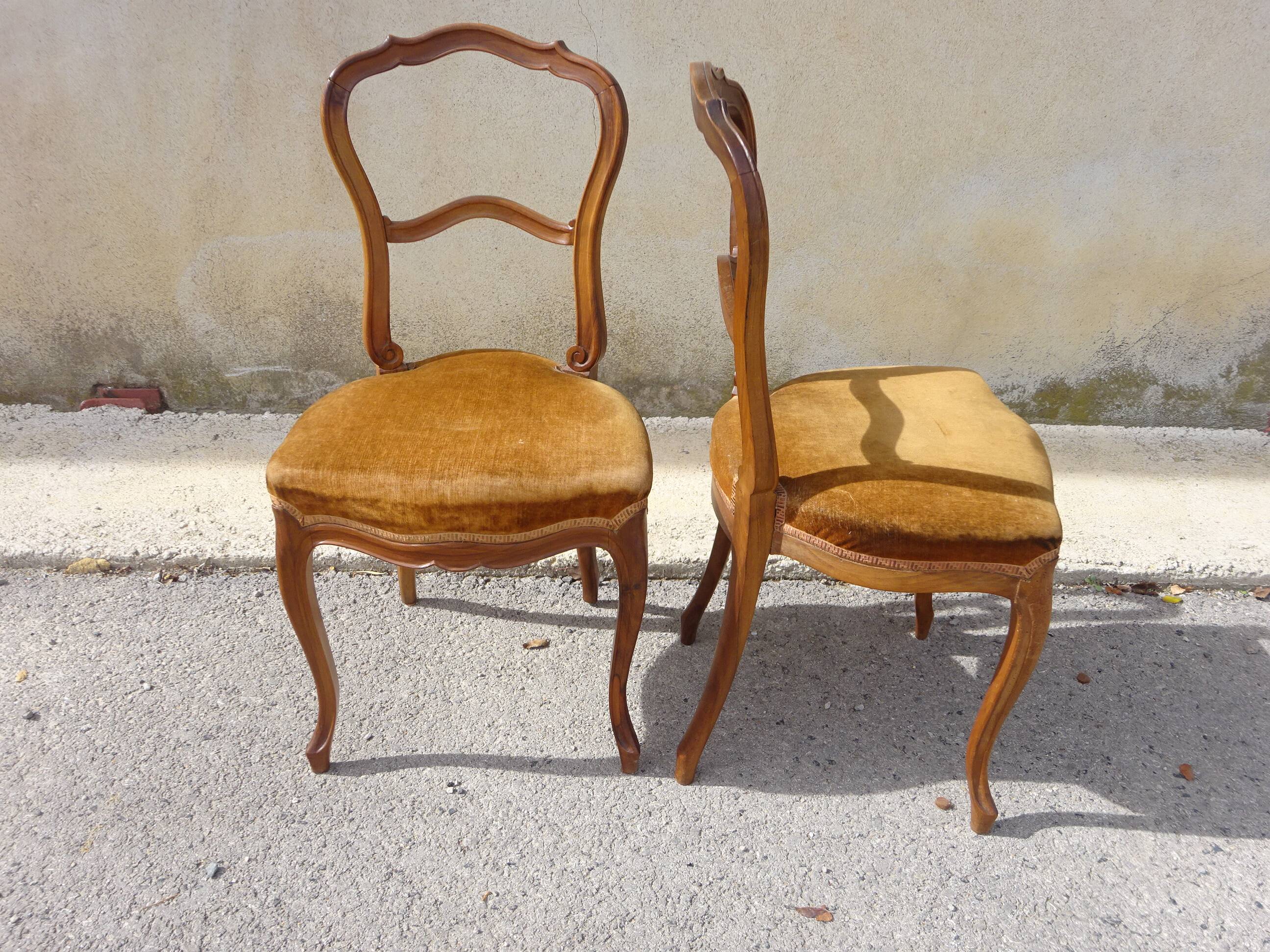 2 old chairs in walnut and velvet