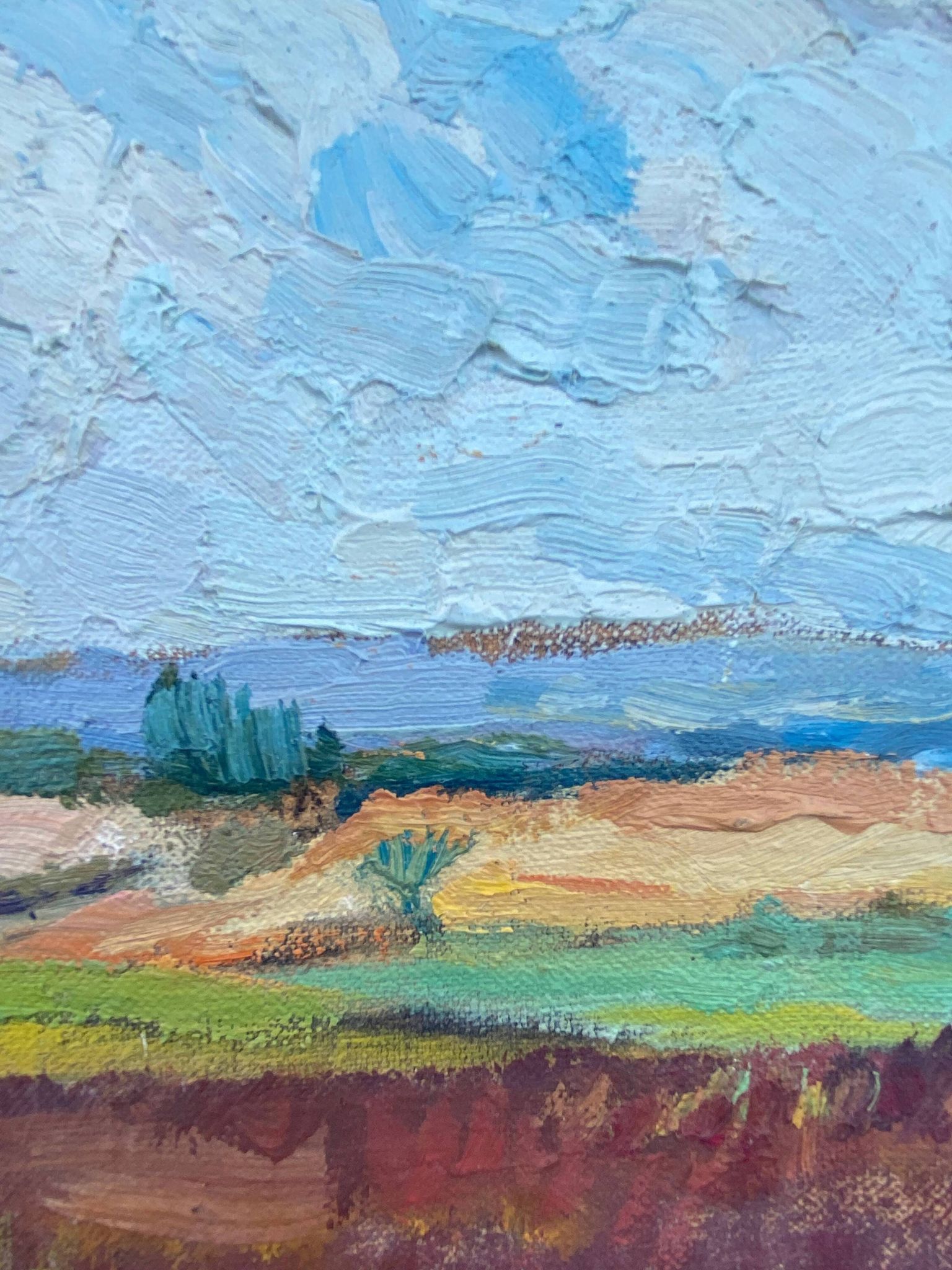 HST painting "Countryside landscape" Fields and valley in summer
