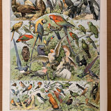 Reserved Marion - Lot of 6 lithos
