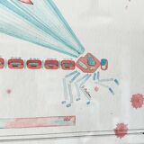 Libellule encadrée