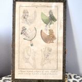 Fashion engraving under glass "Parisian costumes 1694" from 1817 - Hats caps cornettes