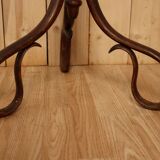Fischel harness