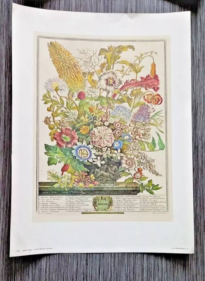 Lot of 19th century Floral Engravings - Vintage Art Print Flowers - 12 months - Robert Furber