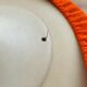 Stool fabric orange foot tulip