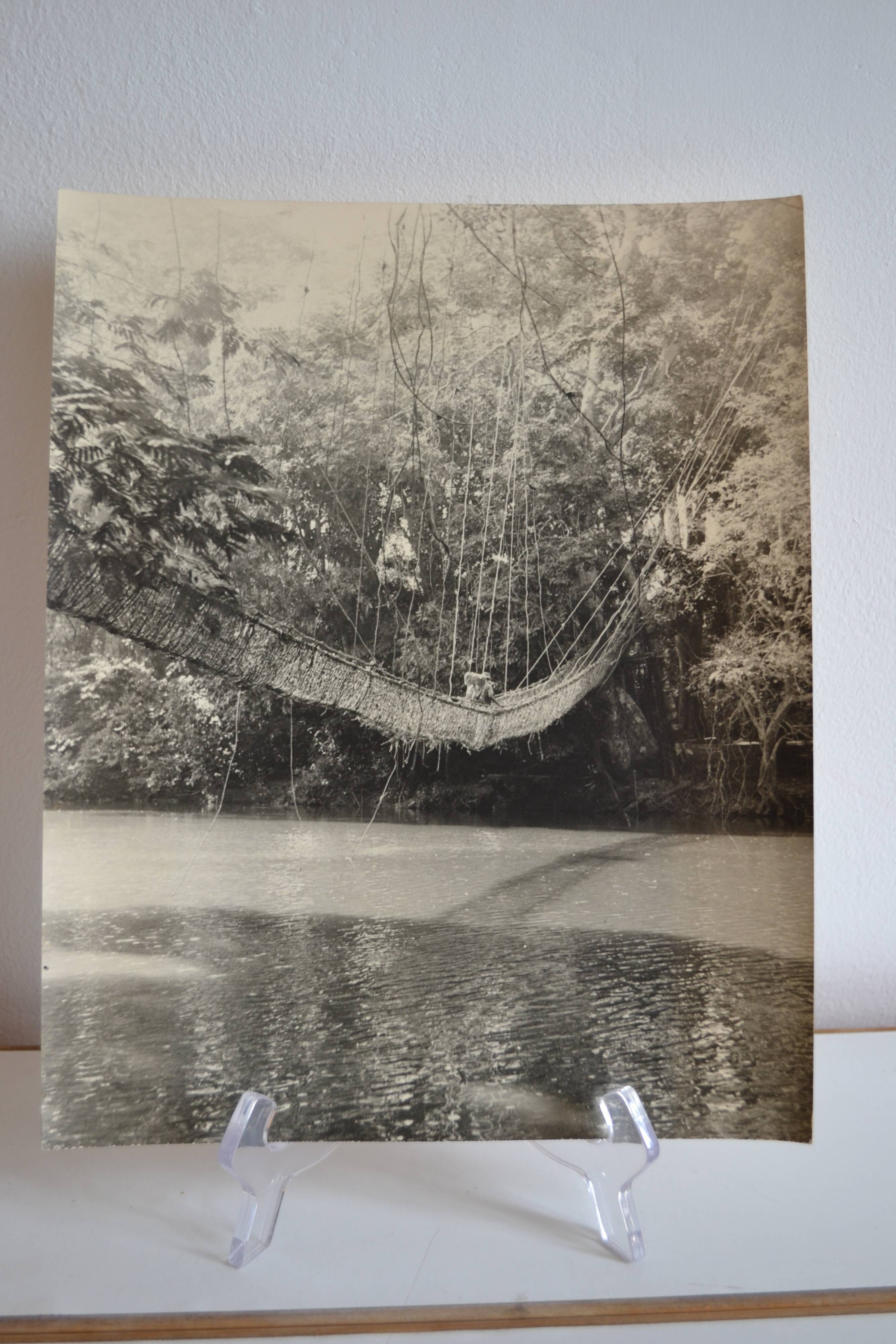 Anonymous silver photo africa gabon lianes bridge circa 1970
