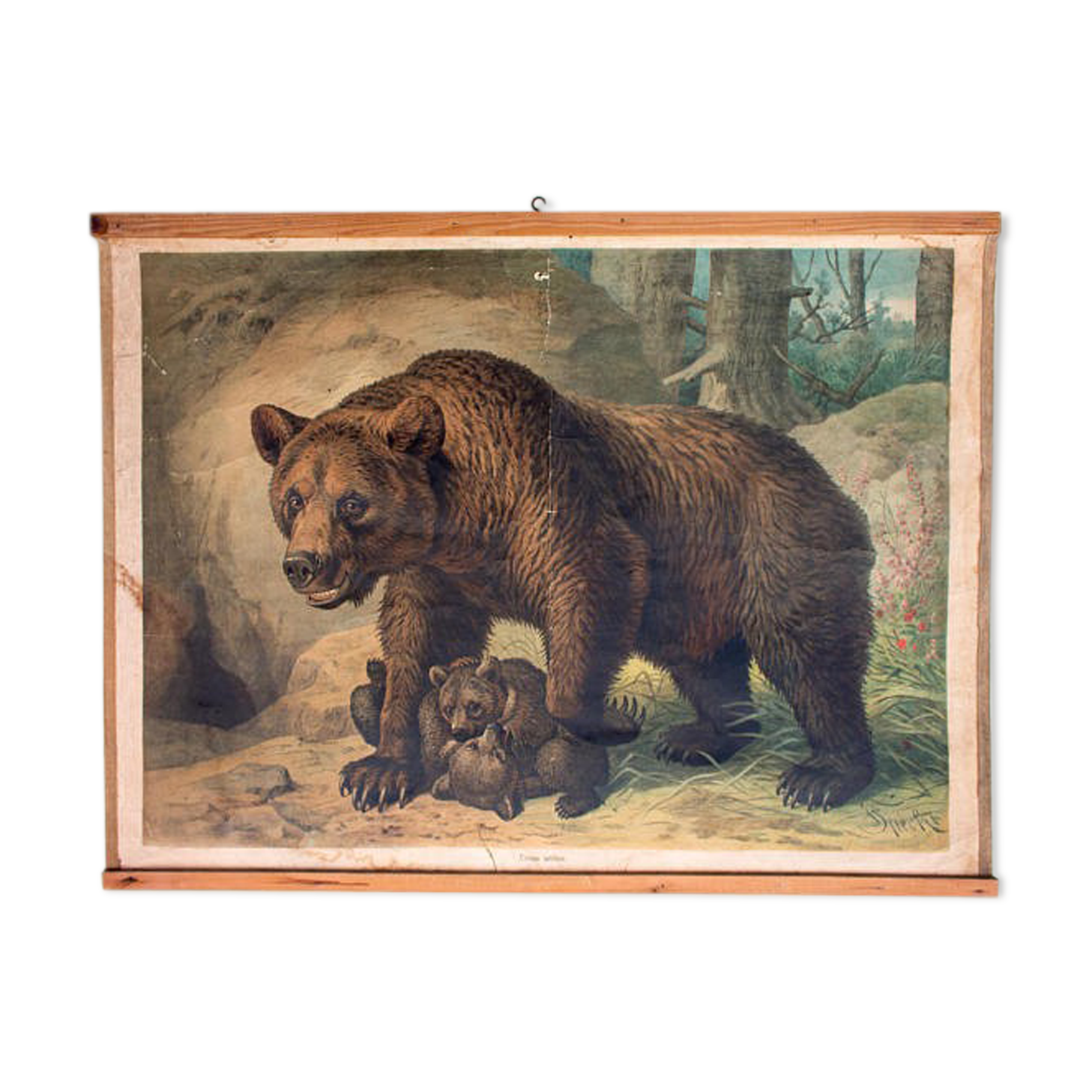 Poster by F. Specht and published by Leipziger Schulbilderverlag von F. E. Wachsmuth Leipzig 1879