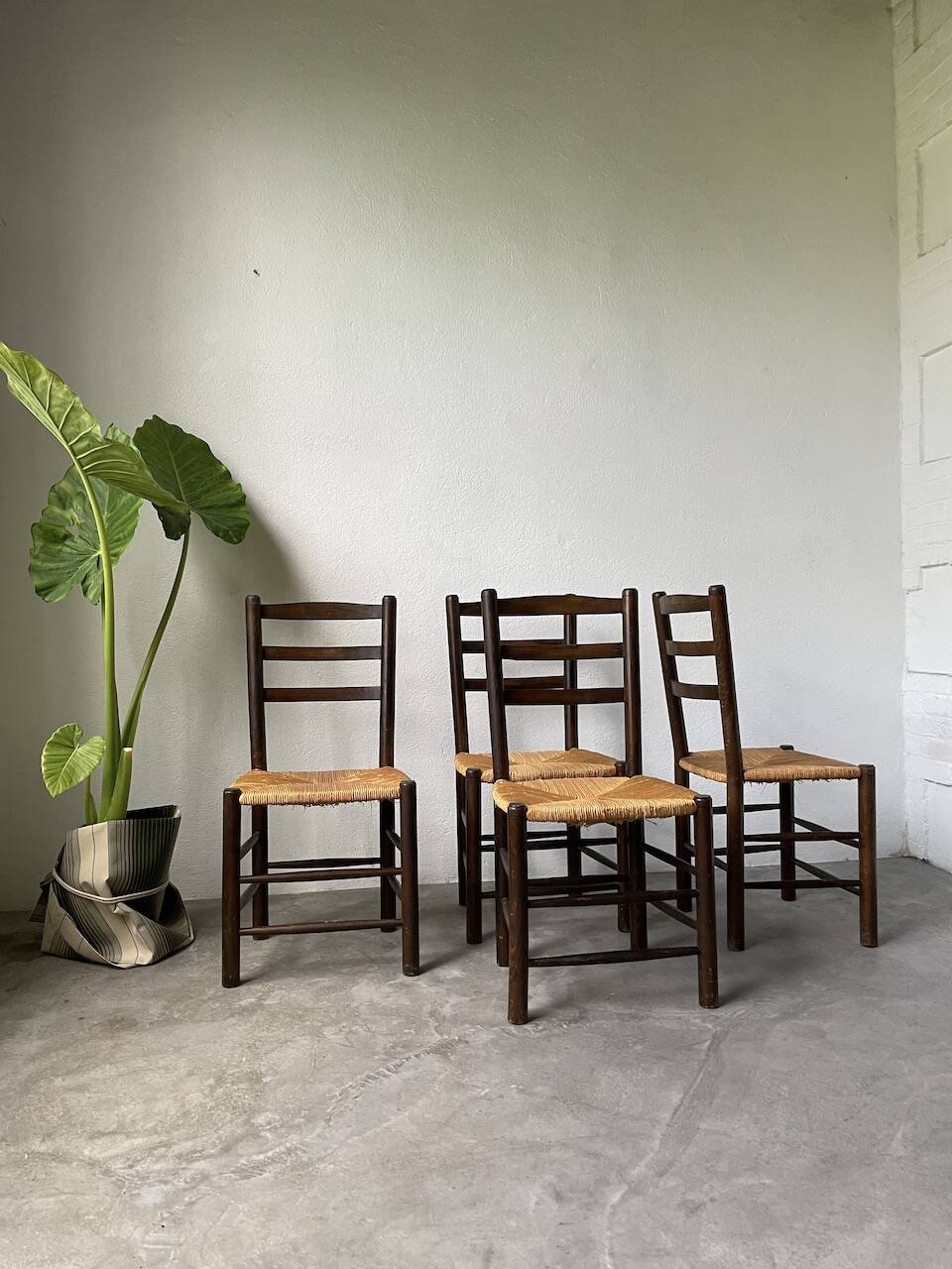 Set of 4 straw chairs from the 50s Dudouyt