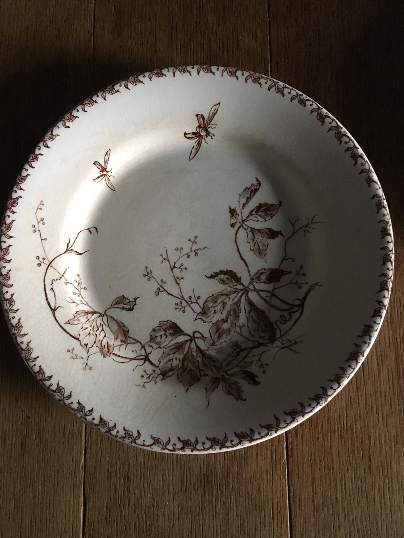 4 Flat plates in opaque porcelain from Gien "Virgin vine"