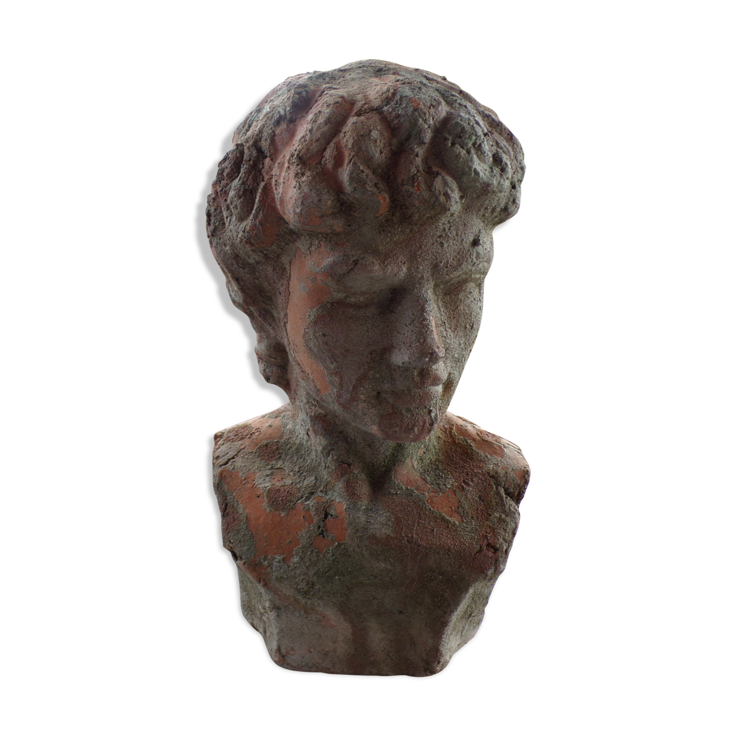 Terracotta bust