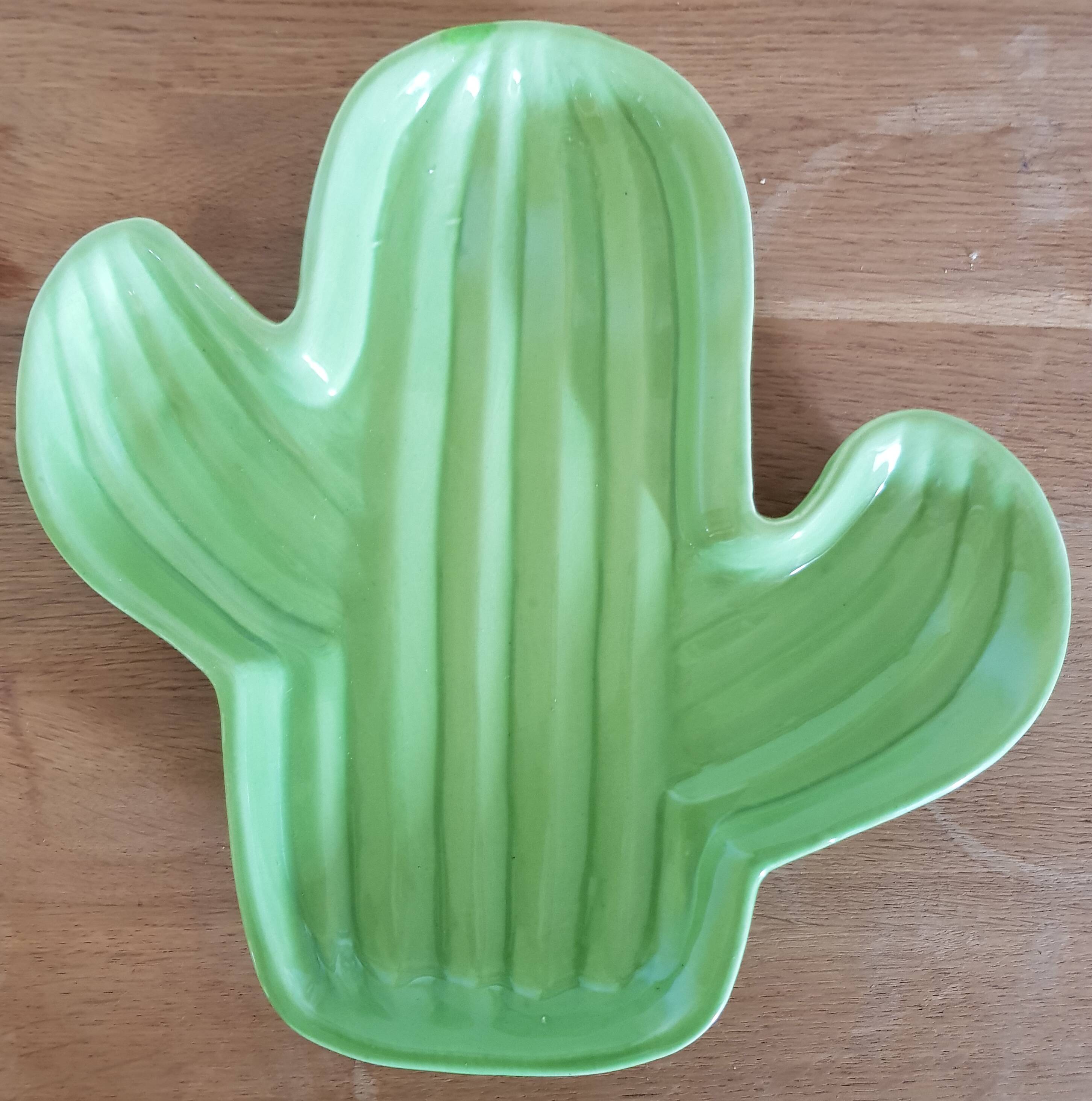 Empty vintage pocket cactus shape