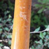 Baumann chairs