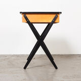 Modernist Desk by Coen de Vries for Devo 1950s