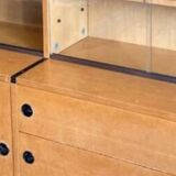 Vintage Scandinavian teak bookcase, vintage teak wardrobe