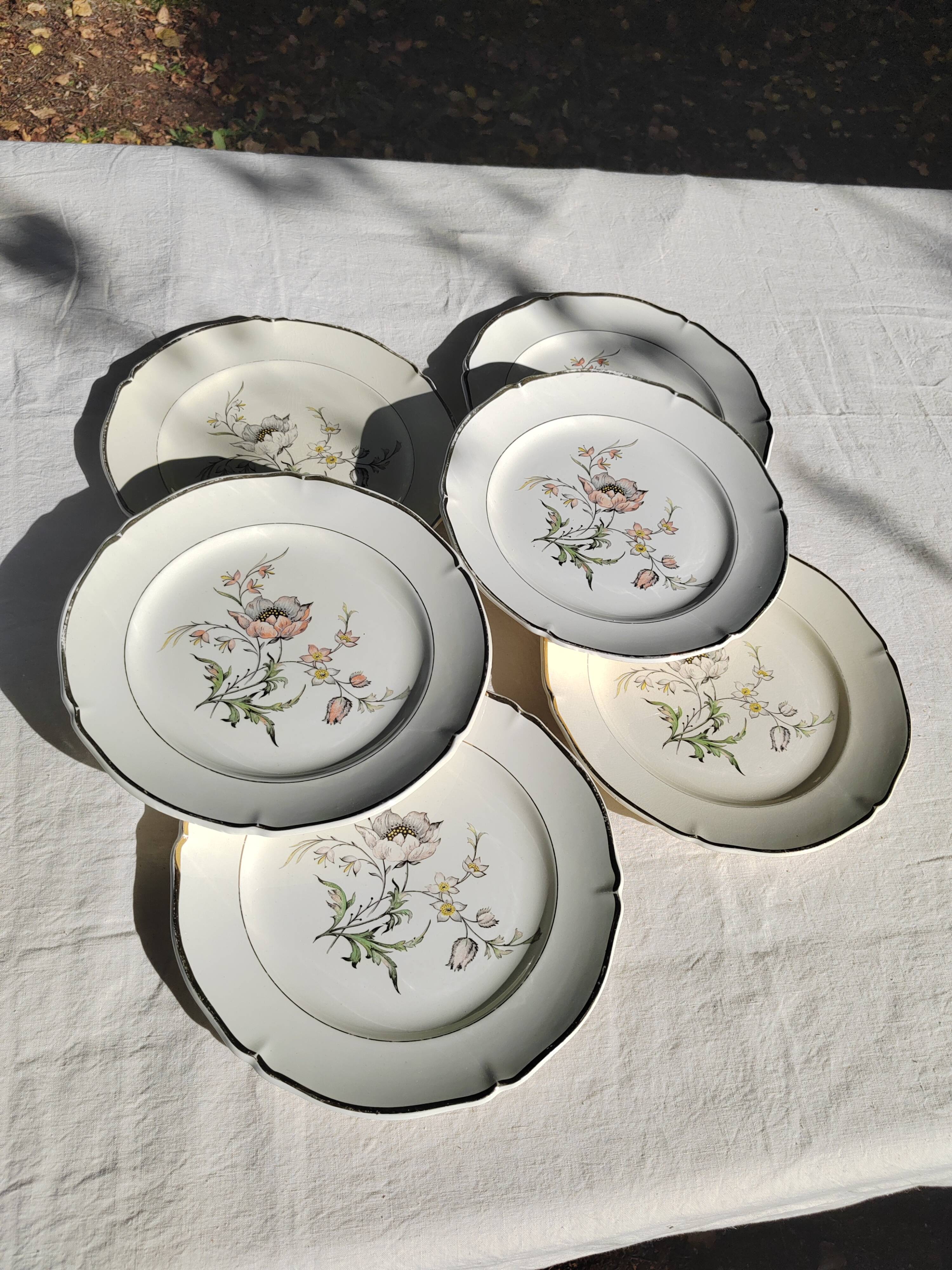 6 flat plates “Saverne” Saint Amand