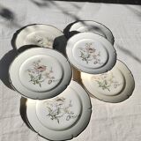 6 flat plates “Saverne” Saint Amand
