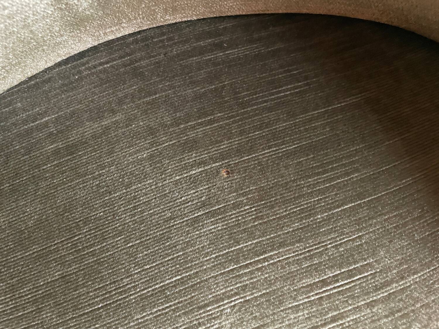 Pair of toad armchairs