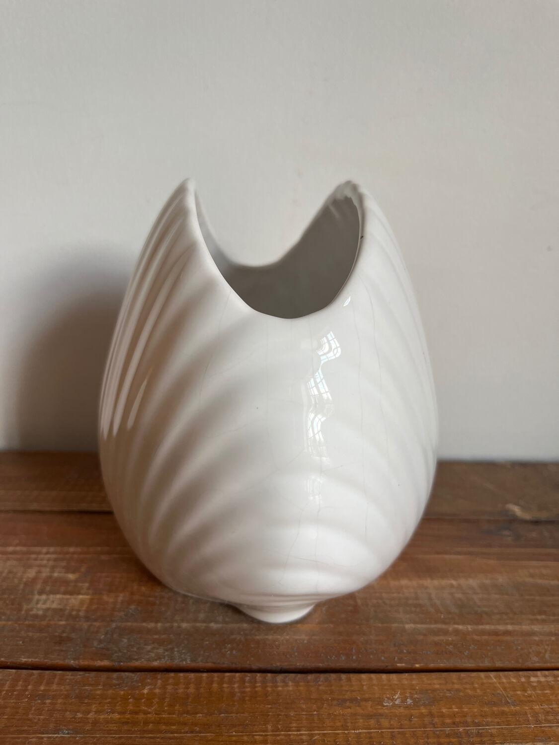 Vase coquillage