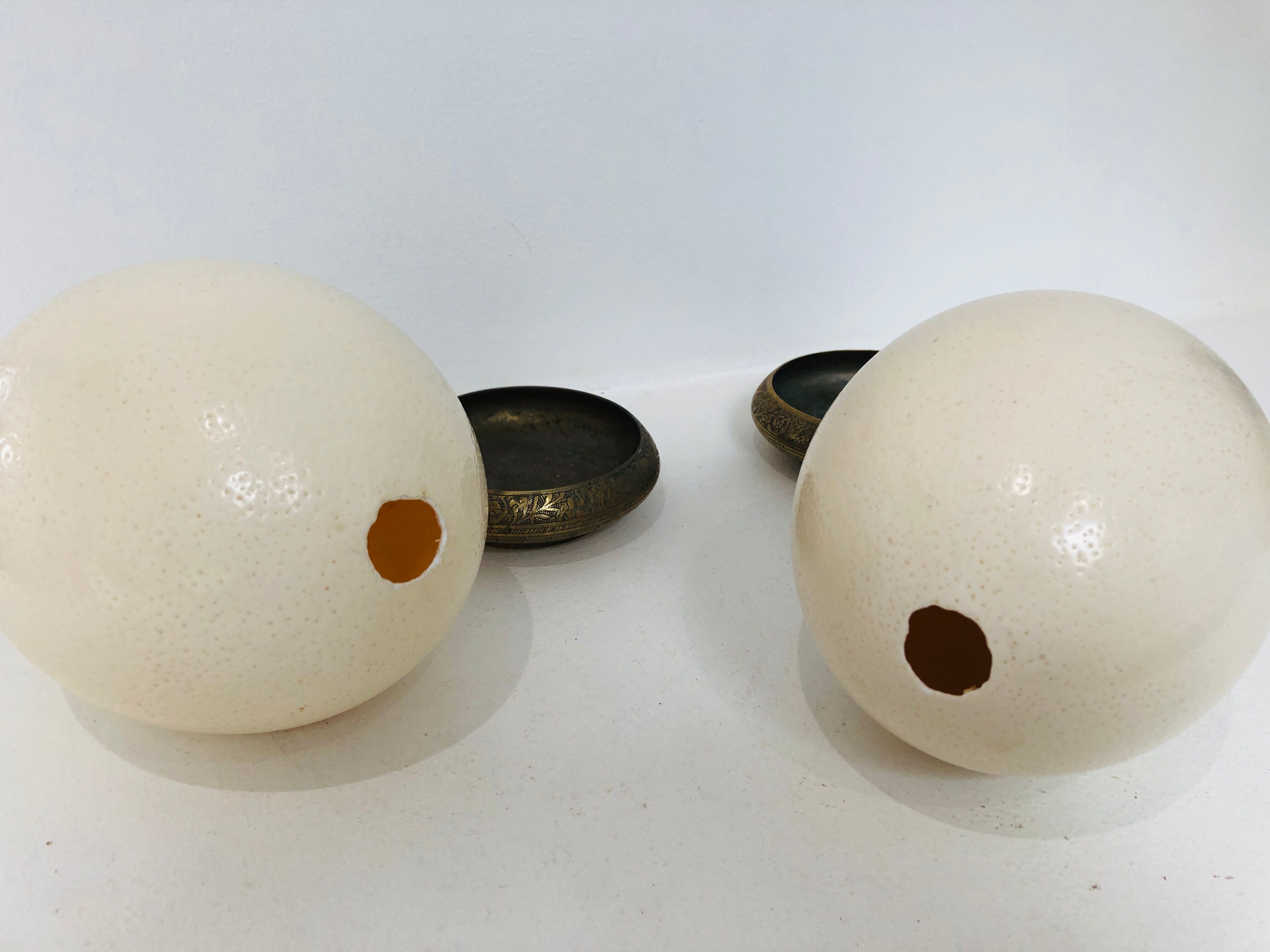 Pair of ostrich eggs on base, early 20th